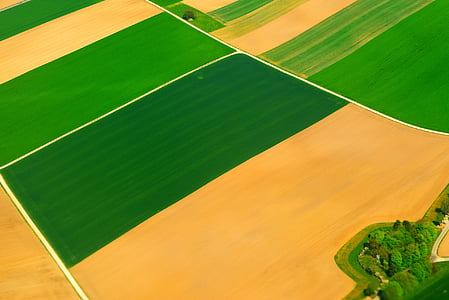 green grass field illustration thumbnail