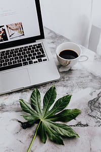 Apple MacBook on the marble desk thumbnail