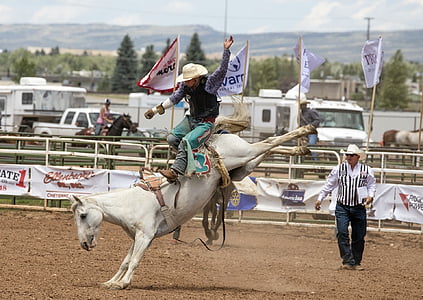 man riding horse thumbnail