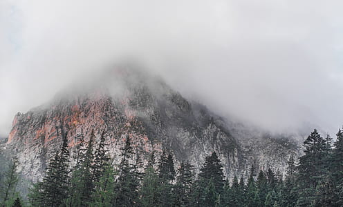 gray mountain surrounded with green trees thumbnail