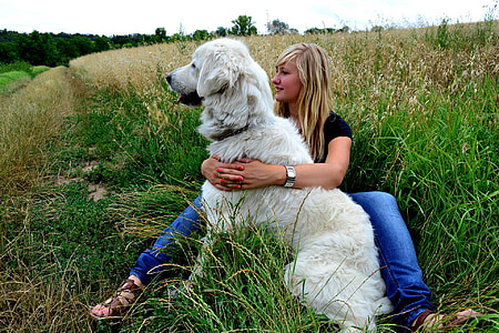 woman wearing black shirt hugging dog while sitting on grasses thumbnail