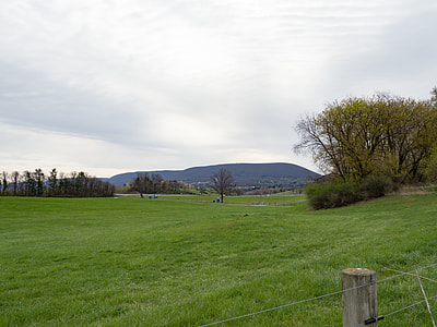 tree and grass covered field with mountains at the distance thumbnail