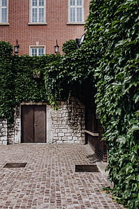The magic of the first Polish Capital City, Cracow, Poland thumbnail