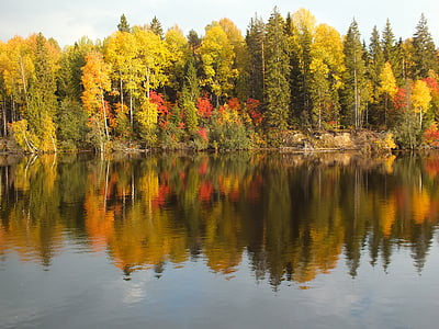 trees reflected on body of water during daytime thumbnail