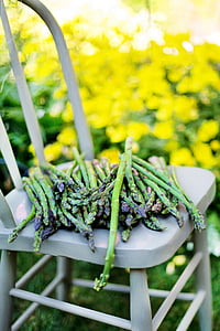 asparagus vegetable on gray chair thumbnail