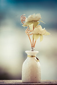 flower, decoration, macro, flora thumbnail