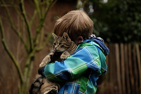 person hugging a silver tabby cat thumbnail