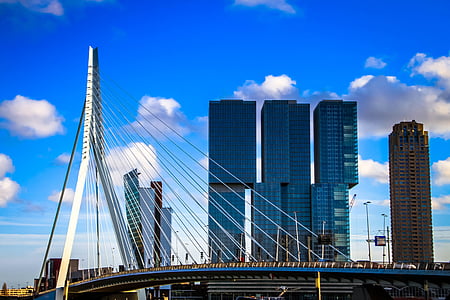 photo of high-rise building at daytime thumbnail