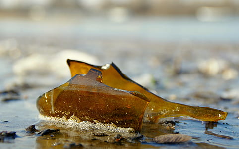 shallow focus photography of broken bottle thumbnail