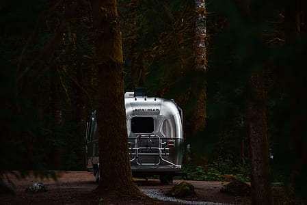 travel trailer in the middle of trees at daytime thumbnail