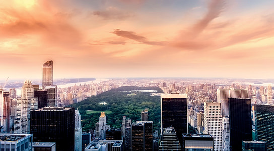 aerial photo of Central Park thumbnail