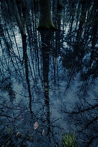 body of water thumbnail