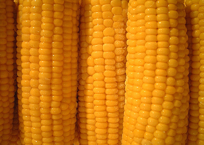 closeup photo of yellow corns thumbnail