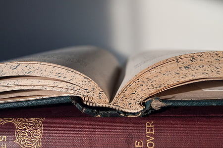 white open book thumbnail