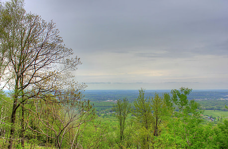 Forest from the top at Rib Mountain State Park, Wisconsin thumbnail