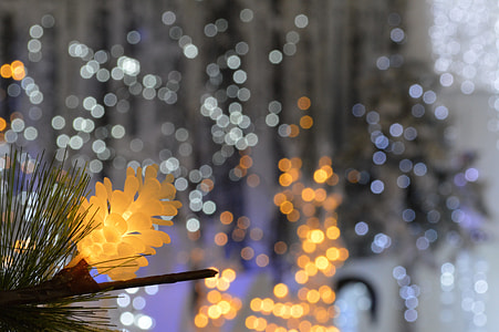 assorted-color of bokeh lights thumbnail