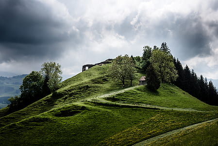 mountain with trees surrounded with clouds thumbnail