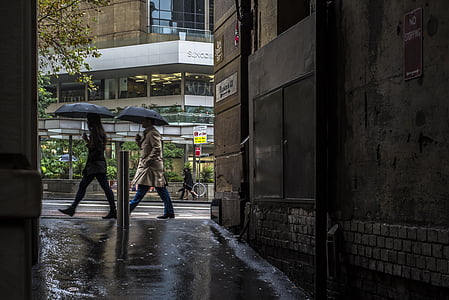 two man and woman under black umbrellas thumbnail