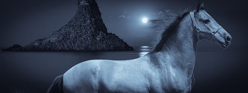 grayscale photo of horse during full moon thumbnail