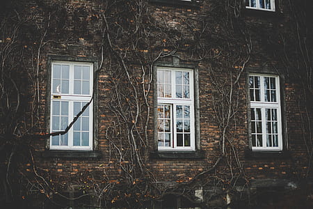 white wooden framed window on house thumbnail
