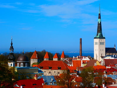 aerial photography of Gothic cathedral thumbnail