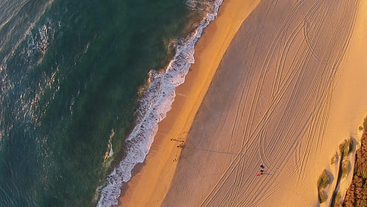 aerial view of seashore thumbnail