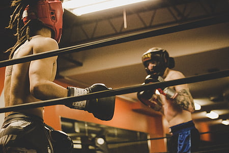 two person having a boxing fight thumbnail