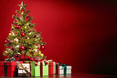 green Christmas trees with assorted boxes thumbnail