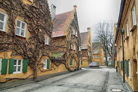 brown house covered tree photo thumbnail