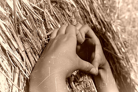 person hands Heart-shape hand formed thumbnail