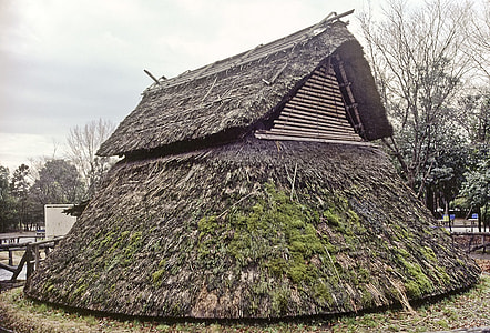 Reconstructed building at the Toro archeological site in Shizuoka, Japan thumbnail
