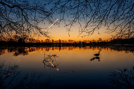 light, dawn, landscape, nature thumbnail