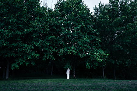 person standing near tree thumbnail