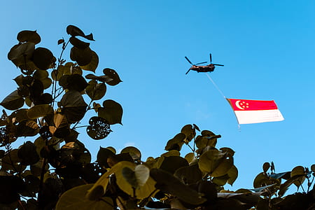 flying Chinook helicopter hauling red and white flag thumbnail