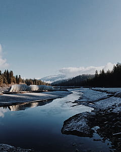 body of water between tall trees at daytime thumbnail
