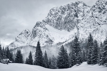 landscape photography of mountain and snow covered pine trees thumbnail