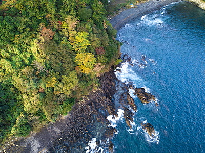 bird's eye view of sea and island thumbnail