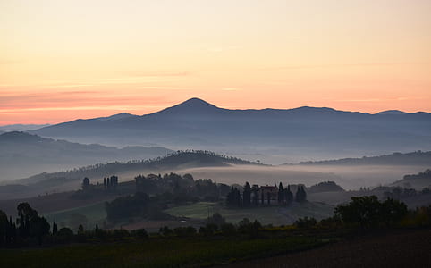 tall trees on hills covered with clouds thumbnail