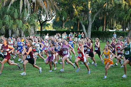 people running on green grass field thumbnail