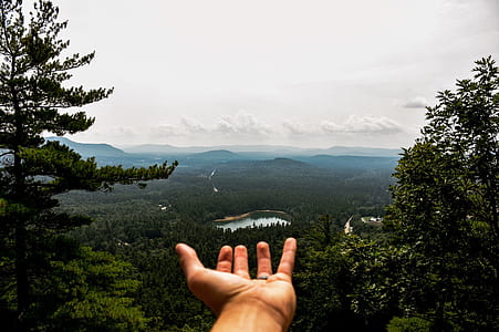 person's hand sticking out overlooking forest thumbnail