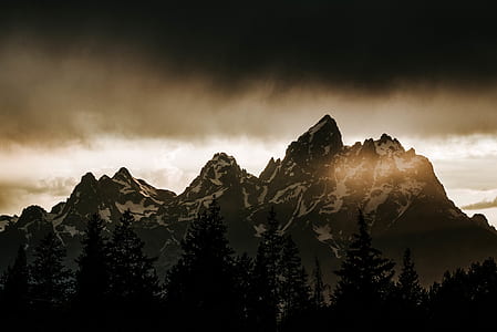 silhouette photo of trees ahead mountain thumbnail