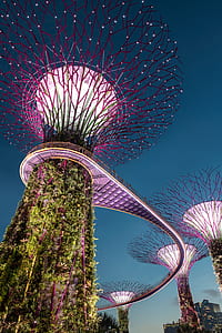 Singapore garden at night thumbnail