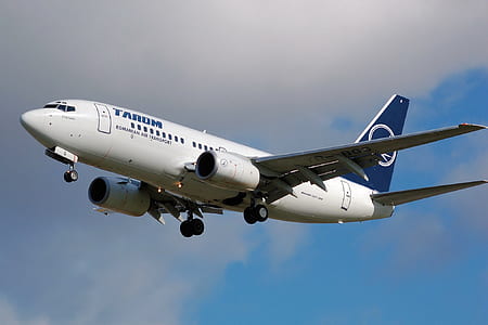 white Tarum airline thumbnail