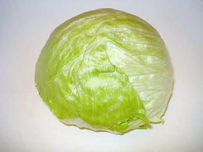 green lettuce thumbnail