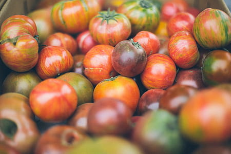 Tomatoes thumbnail