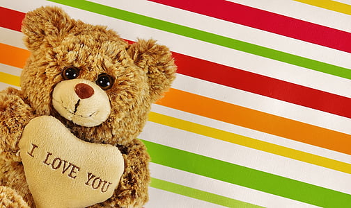 brown bear plush toy thumbnail