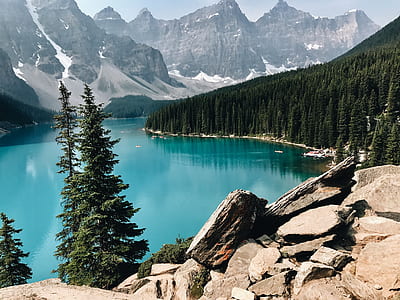 top view of lake surrounded with pine trees thumbnail