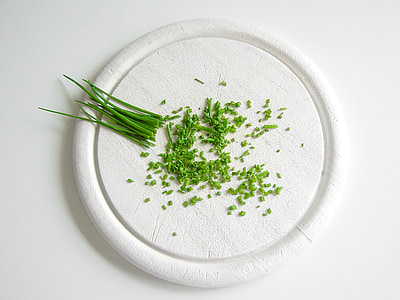 onion springs thumbnail