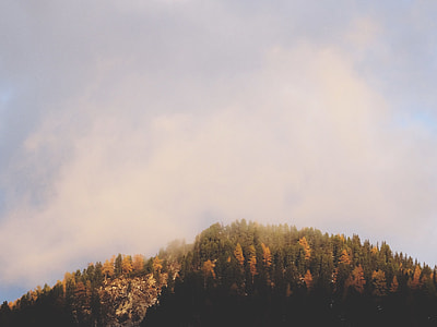 white clouds over green trees thumbnail