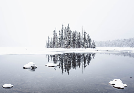 body of water near trees thumbnail